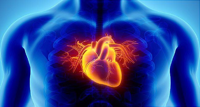 أعراض مرض القلب الناتج عن أمراض صمامات القلب 